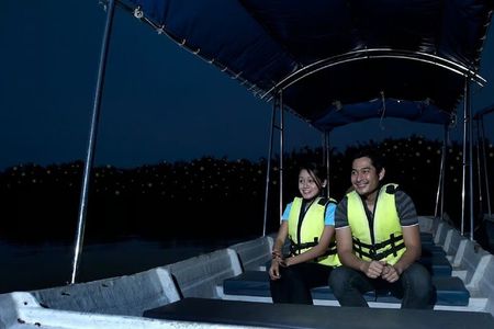 Private Kuala Selangor Firefly Tour with Seafood Dinner