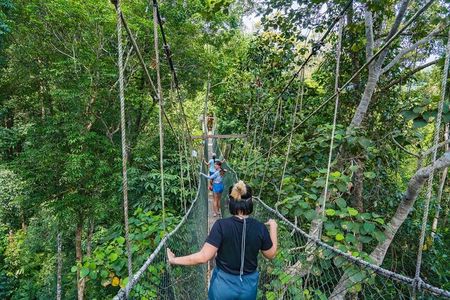 From Kuala Lumpur Taman Negara Day Trip With Lunch