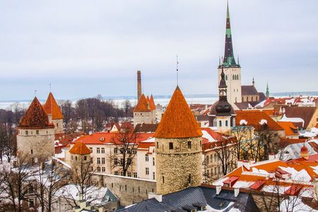 Helsinki to Tallinn Day Trip Guided Tour with Cruise tickets