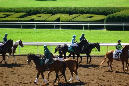 B&C horseback riding, Keeneland or Churchill Down Racetrack.