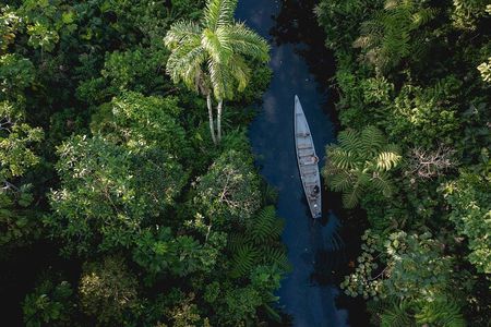 4 Day All Inclusive Amazon Jungle Adventure, transfer from Quito