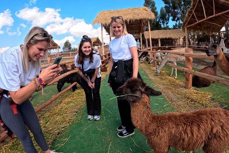 Private Sacred Valley Tour: Cusco, Maras, Moray & Ollantaytambo