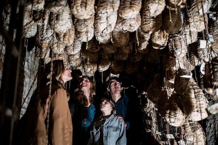 Culatello of Zibello Private Tour with Lunch and Farm Visit