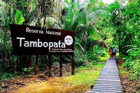 3 Days Tambopata National Reserve Wildlife Adventure