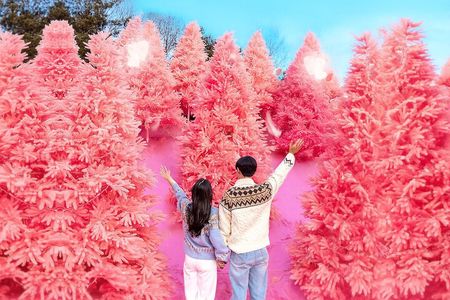 Romantic Winter Wonderland Tour from Seoul