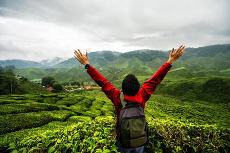 Private Nature Trip to Cameron Highlands from Kuala Lumpur