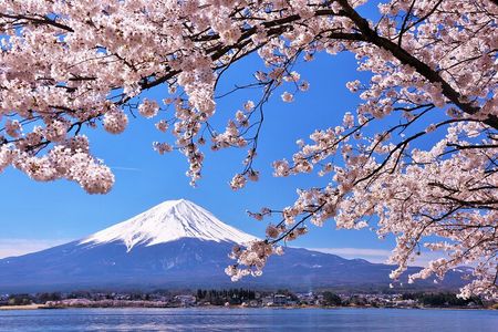 Mt. Fuji 5th St and Gotemba Outlets (Disband at Gotemba Outlets)