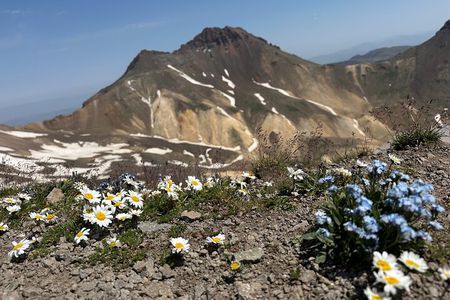Aragats Mountain Hiking Tour 