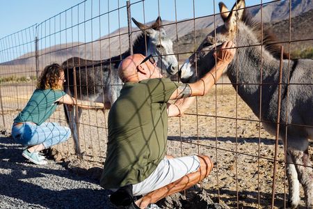 Fuerteventura Aloe Vera Workshop, Farm Tour and Local Tasting