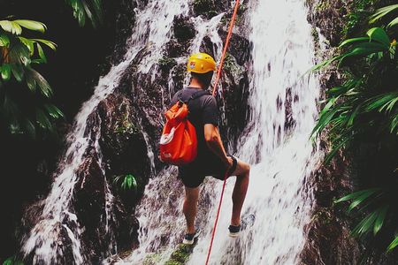 Full-Day Tour in Minca: Hiking, Waterfalls, Coffee and Cocoa