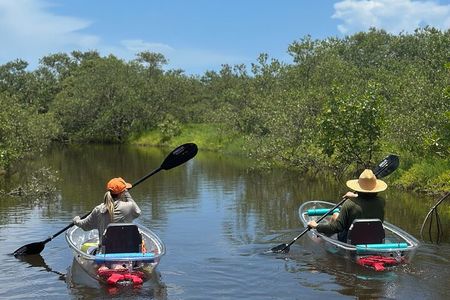 Get Up And Go Kayaking - New Smyrna Beach