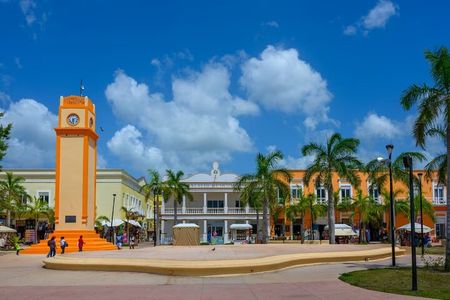 Downtown Cozumel and Brewery Experience