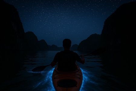 Lan Ha Bay Sunset and Bioluminescent Kayaking Tour