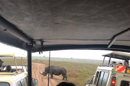Nairobi National Park Safari Tour with Professional Guide