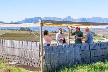 Sommelier Secret Sessions: Unlocking the Mysteries of Wine