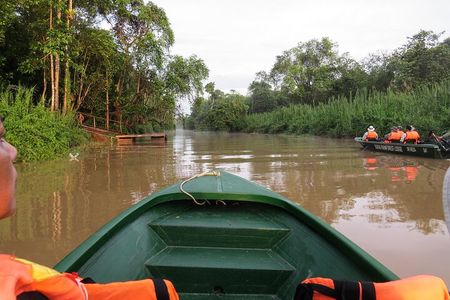 Sukau Rainforest Wildlife and Dawn Cruises Tour in Sandakan