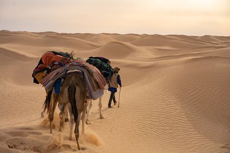 From Tunis/Hammamet/Sousse : 2 day Sahara tour with night in tent