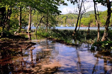 Rijeka Plitvice Lakes Day Trip, Simple Guid, Boat and Train Ride 