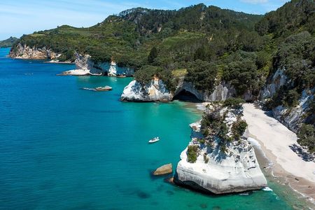 One Hour Cathedral Cove Boat Tour in Hahei 
