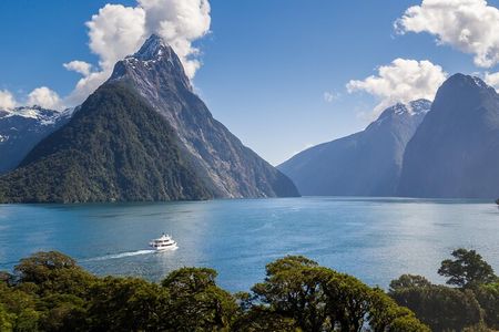 Private Guided Milford Sound Tour ex Queenstown