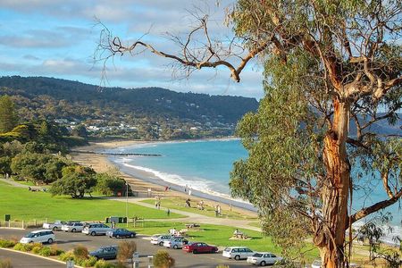 Melbourne: Great Ocean Road & Iconic Coastal Views Day Tour