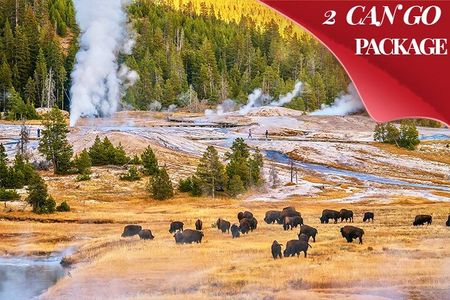 Yellowstone & Grand Teton National Parks: Small Group 3-Day Tour
