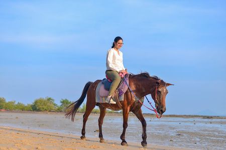 Krabi Beach Horse Riding Adventure