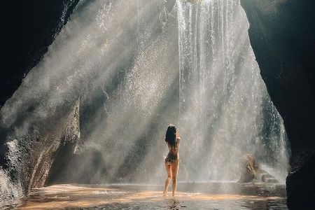 Ubud Private Tour - Waterfalls, Water Temple & Rice Terraces