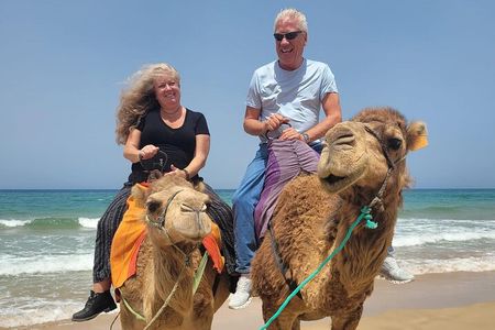 Tangier Half-Day Private Tour & Camel Ride Experience 
