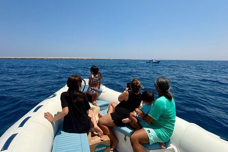 100%PRIVATE Speedboat Trip– Dolphin House,Snorkeling,White island