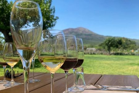 Organic Lunch With Wine Tasting from Pompeii