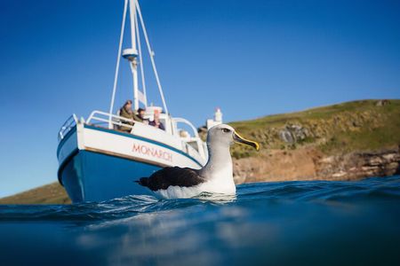 Monarch Wildlife Cruise
