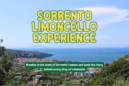 Discover Sorrento through lemons and olive trees