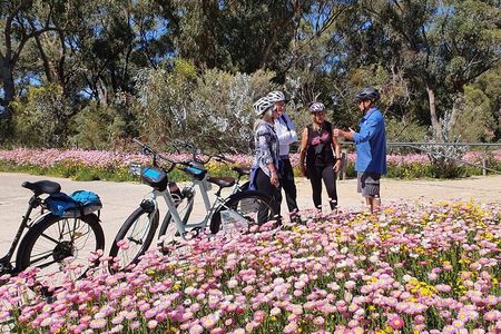 Pedals & Petals - Discovering Wildflowers Bike Tour Kings Park