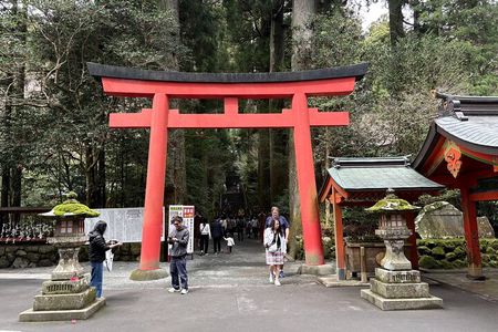 Hakone Private Tour with Hot Spring Visit & Lake Ashi Cruise