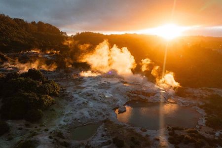 Te Puia Day Pass & Evening Cultural Experience 