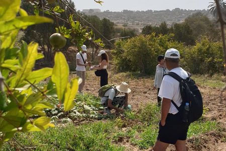 Essaouira Off-Beaten-Path: Full-Day Local Life &Nature Experience