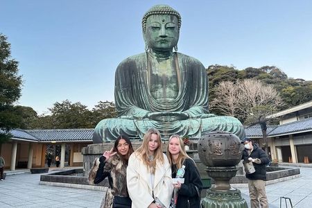 Kamakura Great Buddha and Enoshima with hotel Pickup small group