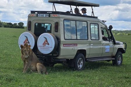 8-Days Western Serengeti Mysterious Adventures All Inclusive.