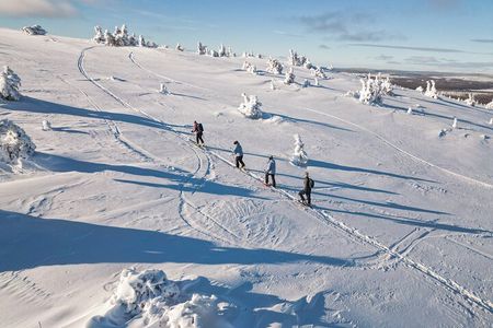 Lapland Snowshoe Adventure – Explore Wild Arctic Trails 