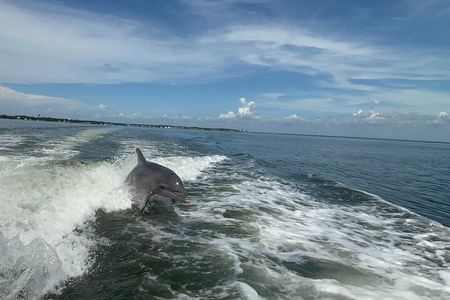 Dolphin cruise in Santa Rosa Beach