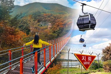 Korea DMZ & Gondola & Suspension Bridge From Seoul