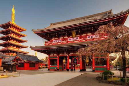 Tokyo Private Driving Tour by Car or Van with Chauffeur