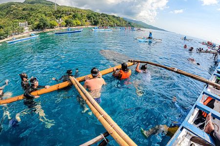 Oslob Whale Shark & Tumalog Waterfalls & Sumilon Sandbar