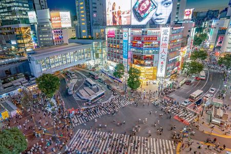 Shibuya Sky Sunset or night Entry w/ Guided Shibuya Walking Tour