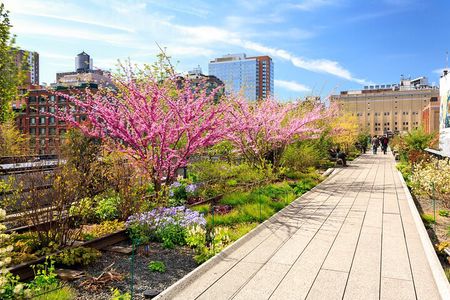 High Line and Chelsea Small Group Tour