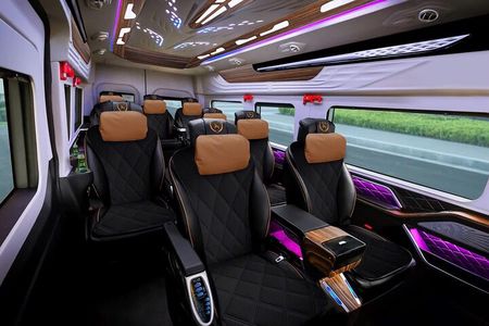 Mekong Delta VIP Tour - Transportation by Limousine