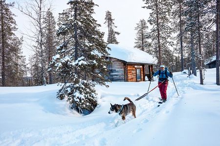 Explore Arctic Trails of Lapland, 1:1 with Your Own Alaskan Husky