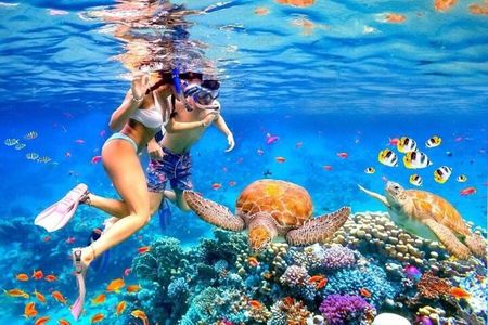 Private Blue Lagoon Snorkeling Lunch All Inclusive