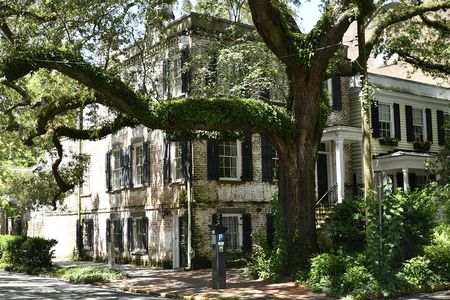 Discover Lesser Known Stories on the Hidden Savannah Walking Tour